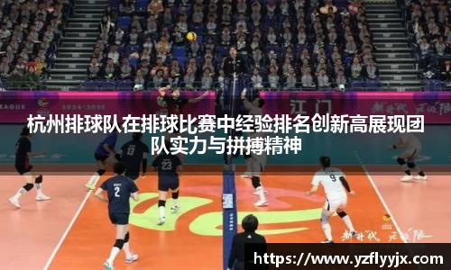 333体育