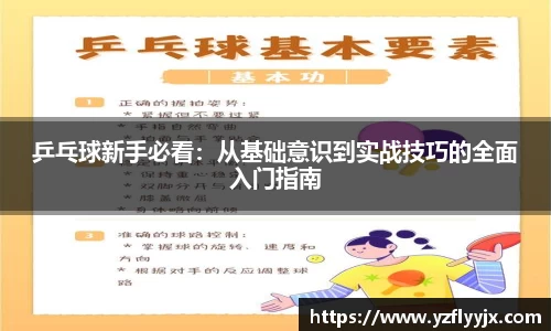 乒乓球新手必看：从基础意识到实战技巧的全面入门指南