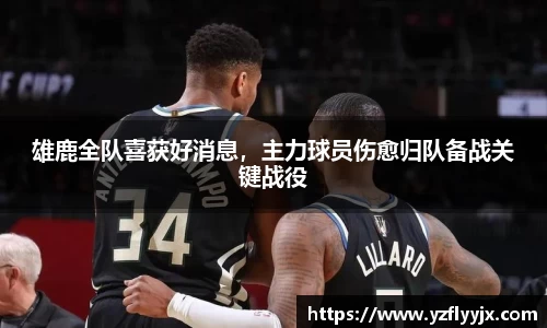 333体育官方网站