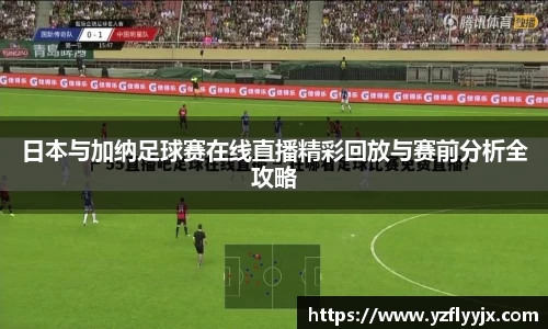 333体育直播