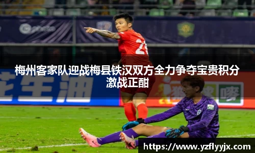 333体育官方网站