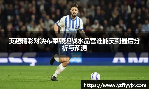 333体育官方网站