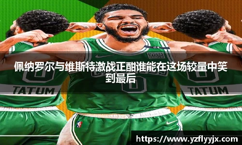 333体育直播