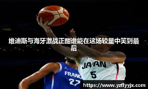 维迪斯与海牙激战正酣谁能在这场较量中笑到最后